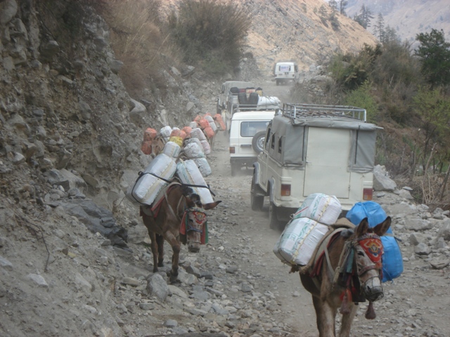 DSC03514 फेरिदै ब्यापार शैली