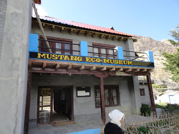 Mustang Eco museum banda भुकम्पले वन्द ‘पर्या–संग्राहलय’ अझै खुलेन