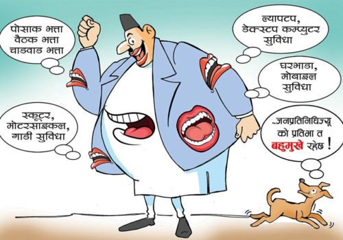 पालिकाका जनप्रतिनिधिलाई मासिक तलब नदिन सर्वाेच्च अदालतकाे आदेश
