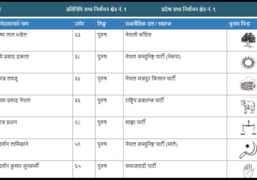 भक्तपुर प्रदेशसभामा कांग्रेसका भडेल विजयी