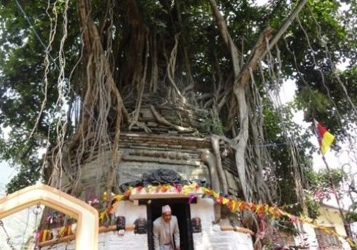 बेनी शिवालयमा महाशिवरात्रि पुजाको तयारी पुरा