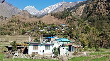 जंगलमा हराएका चार नेपाली पर्यटकको तेस्रो दिन उद्धार