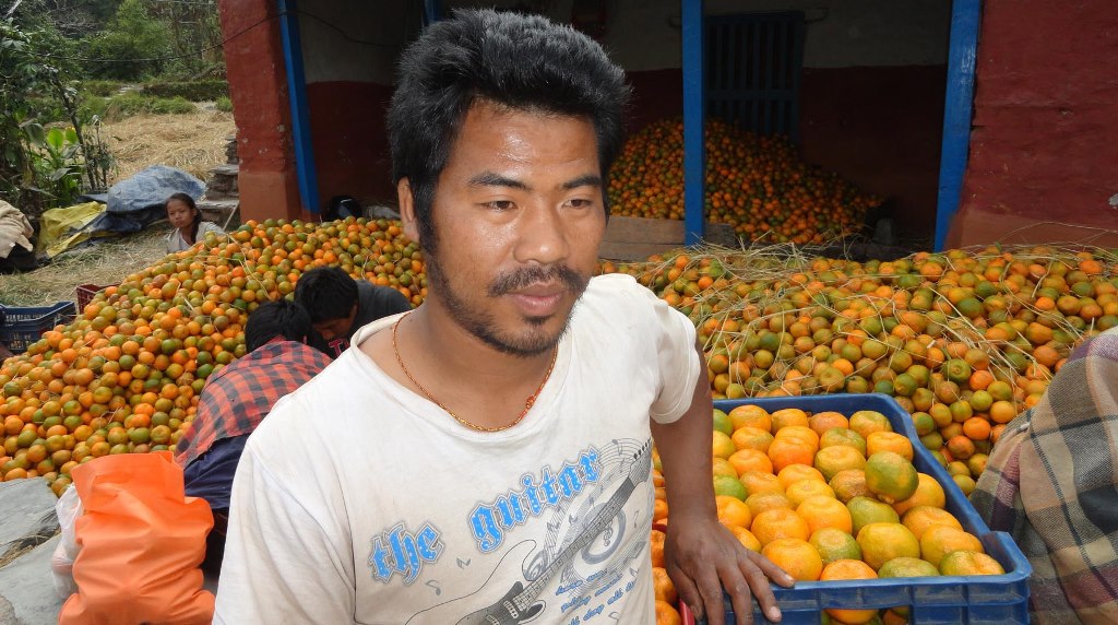 सुन्तलाबाट म्याग्दीमा २२ करोड १४ लाख भित्रियो