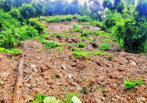 बाढी पहिरोमा परी बागलुङमा चार जनाको मृत्यु