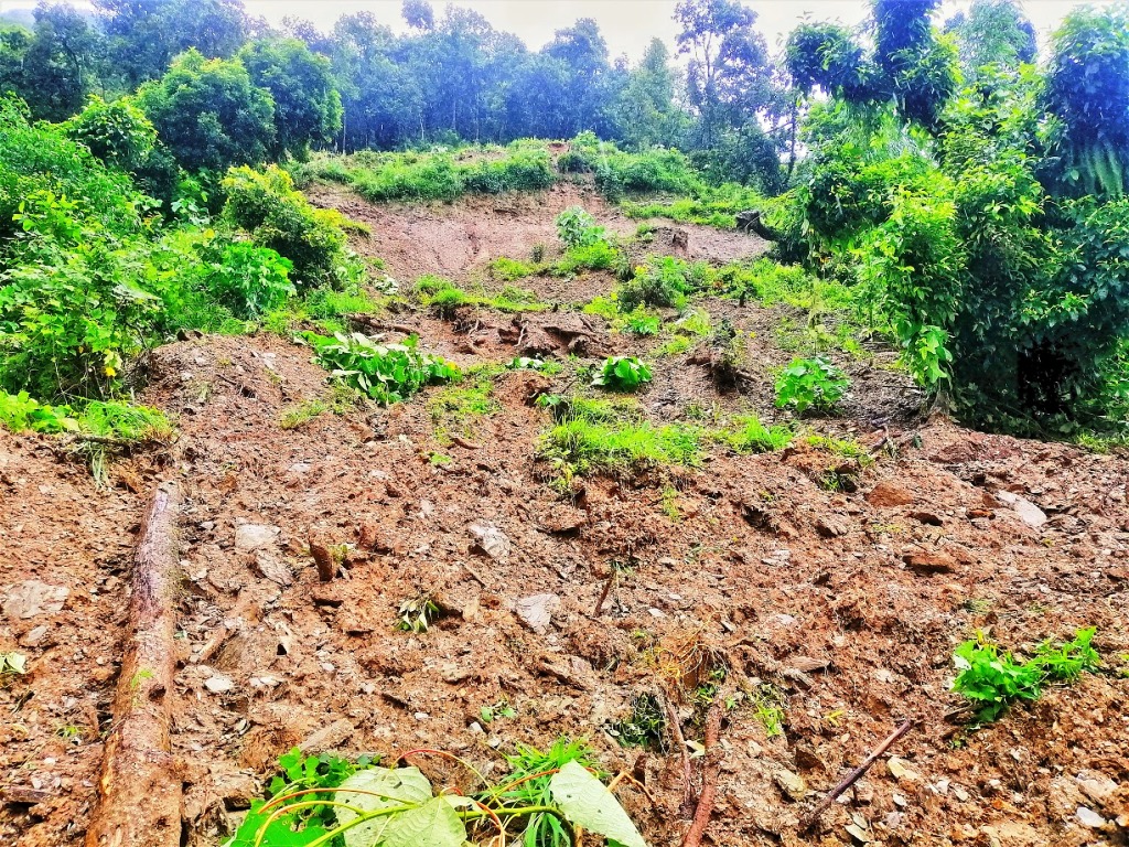 बाढी पहिरोमा परी बागलुङमा चार जनाको मृत्यु