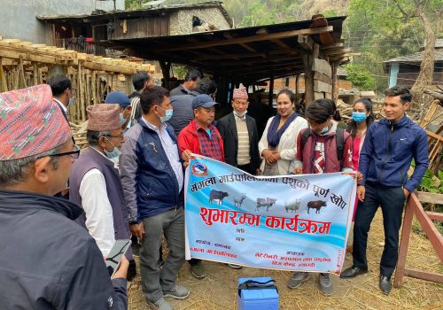 म्याग्दीको मंगला गाउँपालिका पशुको पूर्णखोपयुक्त बन्दै