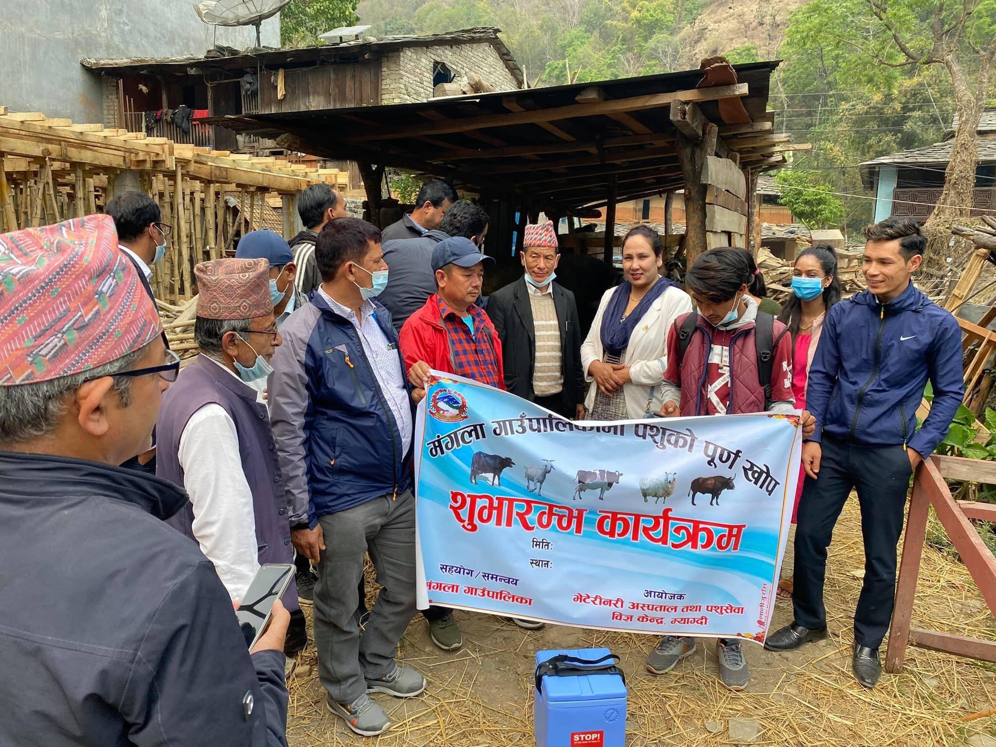 म्याग्दीको मंगला गाउँपालिका पशुको पूर्णखोपयुक्त बन्दै