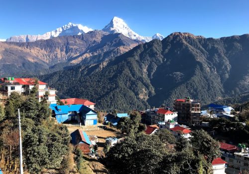 सन् २०२० मा ८० प्रतिशतले घटे पर्यटक