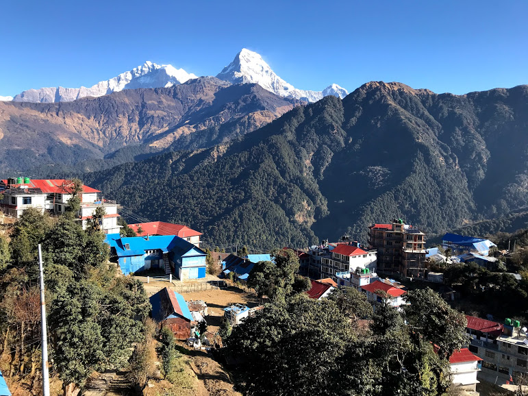 सन् २०२० मा ८० प्रतिशतले घटे पर्यटक