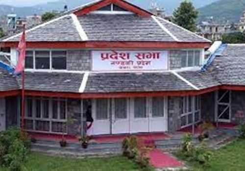 गण्डकी प्रदेश: कोरोना संक्रमित आइसोलेसन जाने कि संसद?