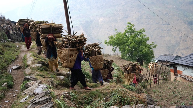 कोरोना त्रासले फेरियो खेती प्रणाली