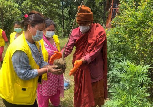 बुद्ध विहार परिसरमा बृक्षारोपण