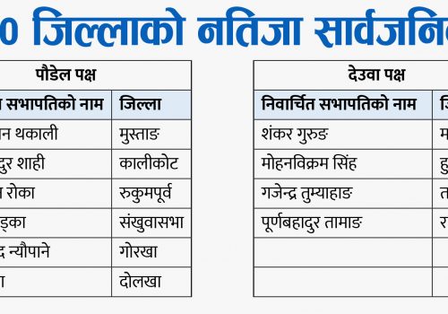 काँग्रेसको १० जिल्लामा नेतृत्व छानियो, पौडेल समूहको अग्रता