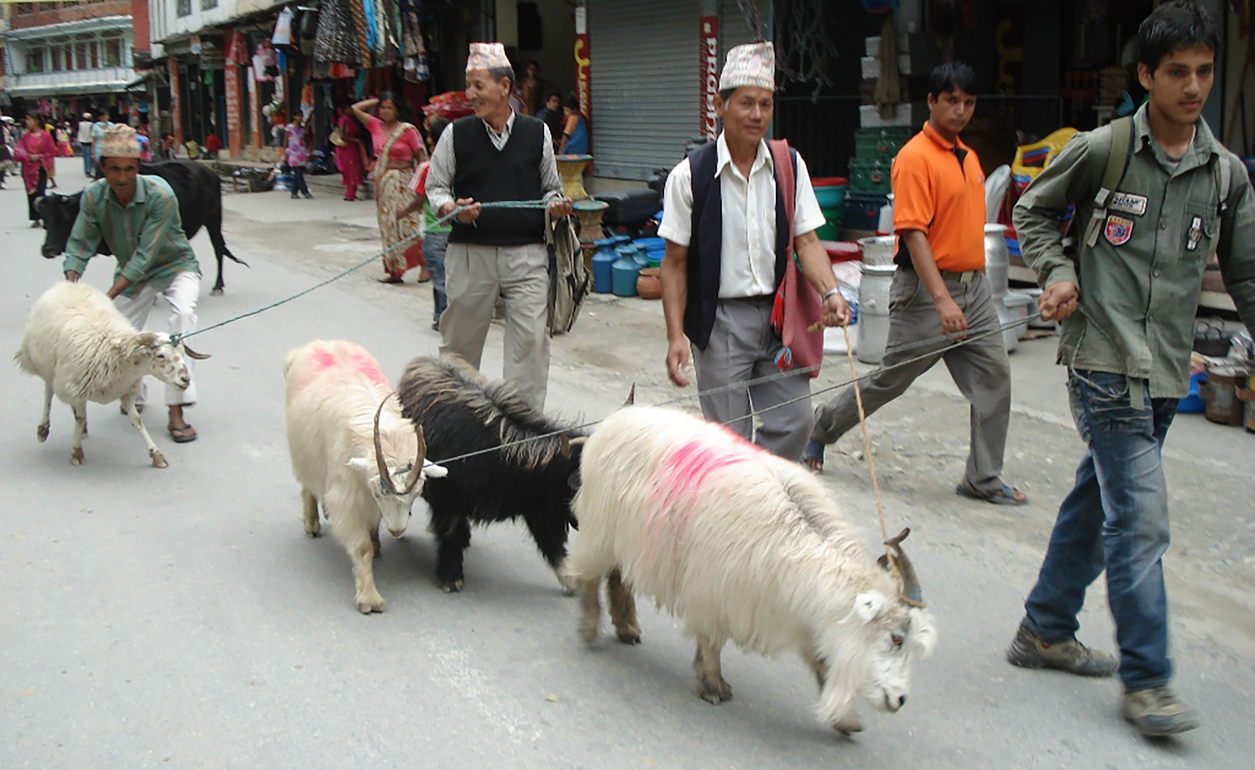 दशैंमा च्यांग्राकाे मूल्य सम्झने, स्वाद बिर्सने