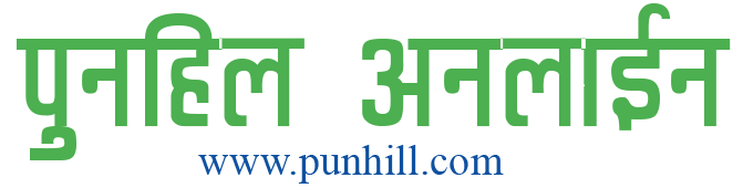https://punhill.com/wp-content/uploads/2021/10/logo23.png