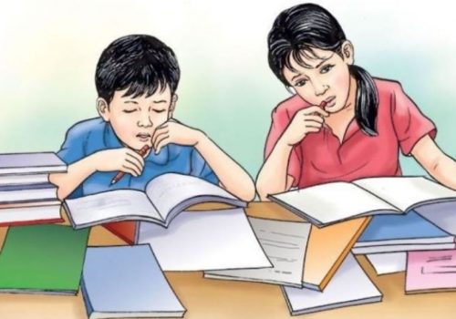एसईईका लागि रजिष्ट्रेसन र आवेदन फाराम खुल्यो, कहिलेसम्म भरिसक्नुपर्छ ?