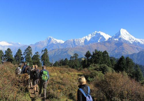 झाडीले छोपिए पाहुना हिंड्ने बाटाहरु