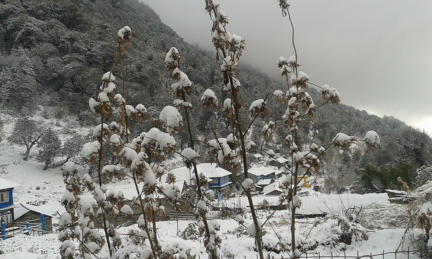 भारी हिमपातले वस्ती विच्छेद, भोलीसम्मै हिउँ पर्ने संभावना