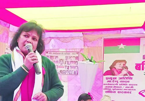 मन्त्री रेणु यादवलाई तत्काल पदमुक्त गर्न माग