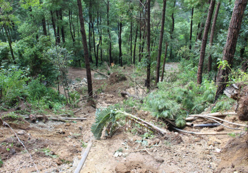 पहिरोले बेनीखानेपानीमा क्षति, कलेक्सन,स्लो स्याण्ड र रिर्जवयर ट्याड्ढी पनि जोखिममा