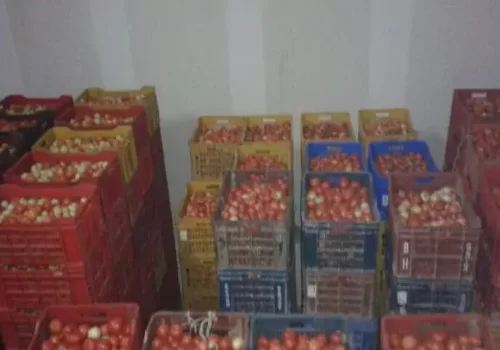 म्याग्दीमा दुई वटा कोल्डस्टोर निर्माणाधिन