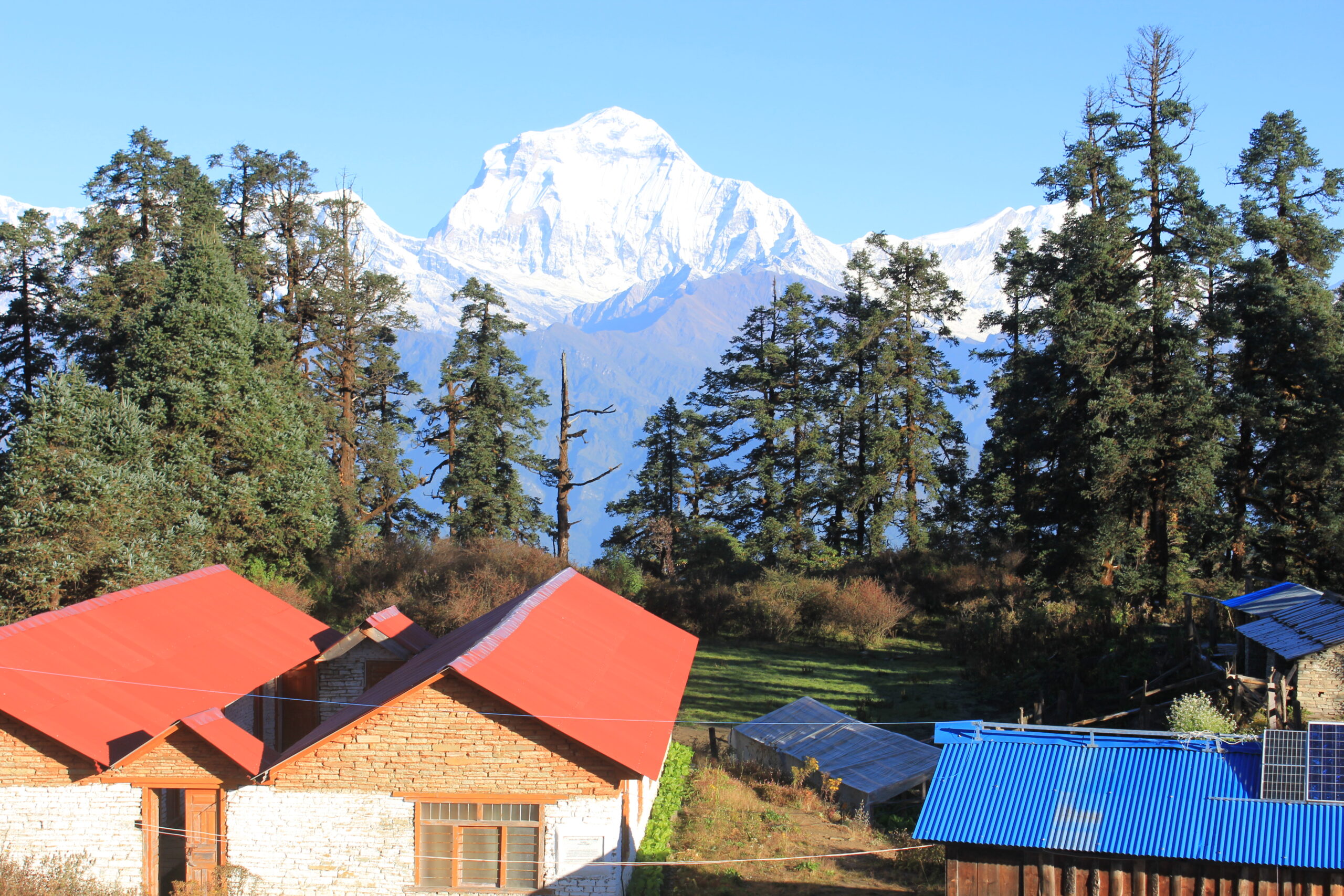 महरे सामुदायीक हाेटलमा खानेपानी समस्या, खच्चडमा बोकेर पर्यटकलाई खुवाईदै