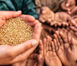 यो वर्ष अनिकाल पर्न सक्ने, खाद्यान्नको जोहो गर्न सुझाव
