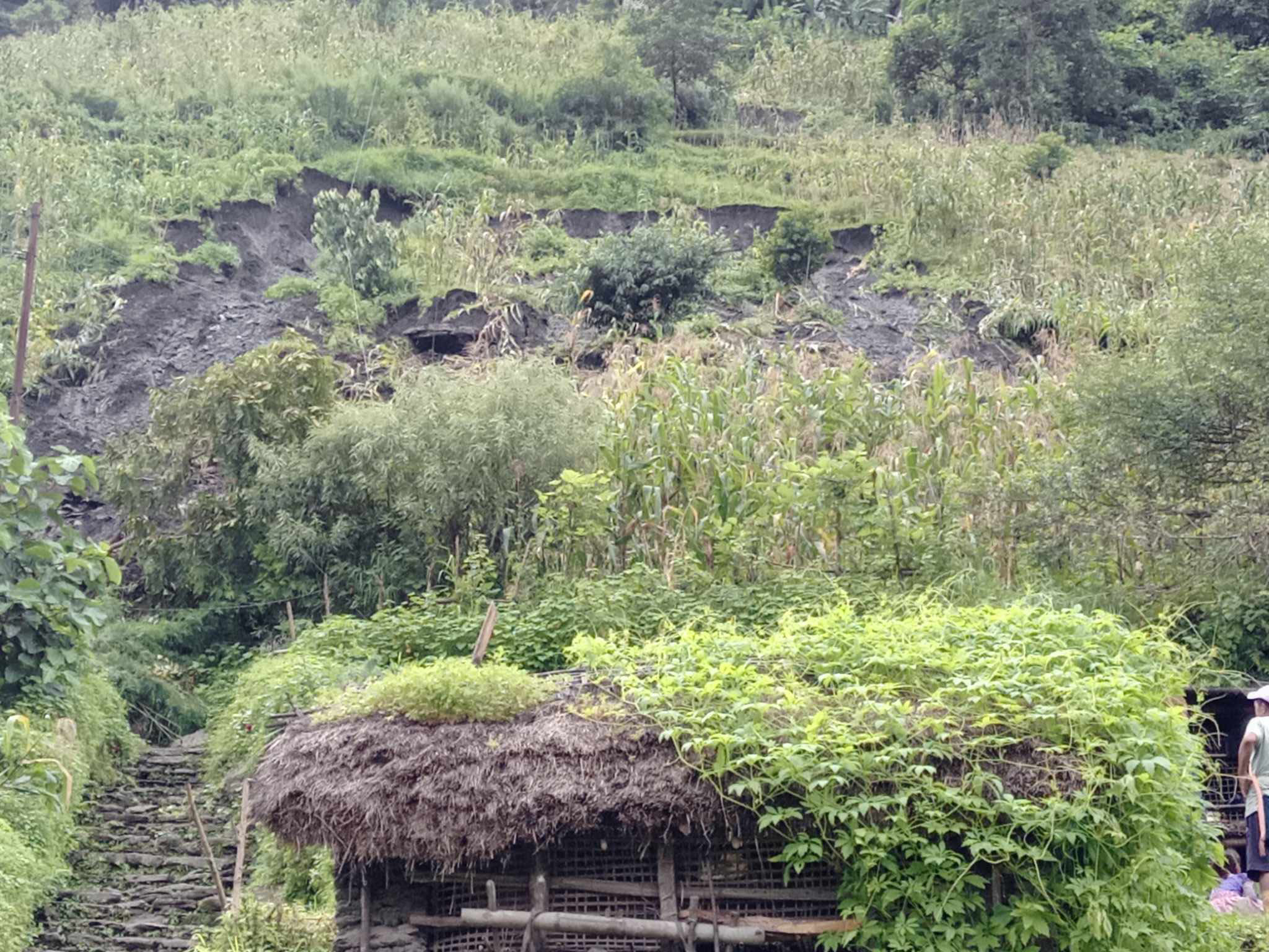 पहिराेकाे उच्च जाेखिमपछी दानाकाे सुवाबासीलाइ सुरक्षित स्थानमा लगिदै, वस्ती उठाउँदै बेनी–जाेमसाेम सडक