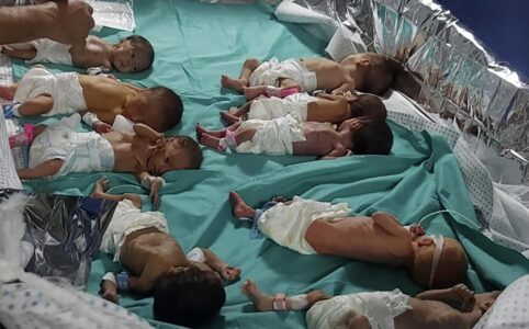 गाजास्थित अल-शिफा अस्पतालबाट ३१ शिशुको उद्धार