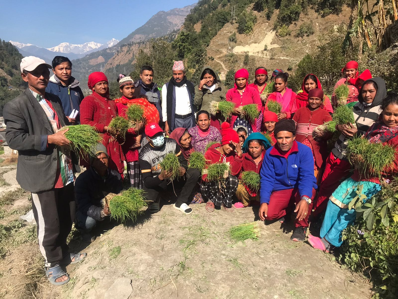 जलजला गाउँपालिकालाई प्याजमा आत्मनिर्भर बनाइने