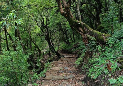 विकासकाे नयाँ शैली ः गोरेटोबाटा ‘पदमार्ग बन्दै’