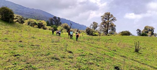 ‘सामुदायीक प्रर्यापदमार्ग’मा प्रि–मनसुन सौन्दर्य