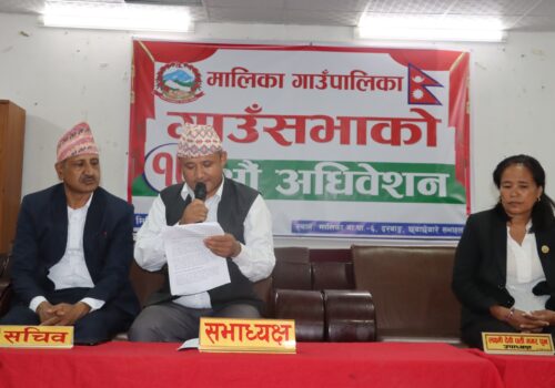 मालिकाको बजेट ४६ करोड दुई लाख पारित