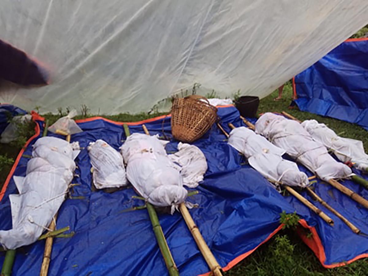 म्याग्दीका ति त्रासदीलाग्दा विपद्हरू (बाढीपहिराकाे इतिहाँस)