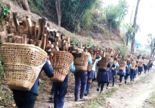 श्रम संस्कृतिमा हुर्केकाे म्याग्दीका जेन-जी पुस्ताका छात्रछात्रा