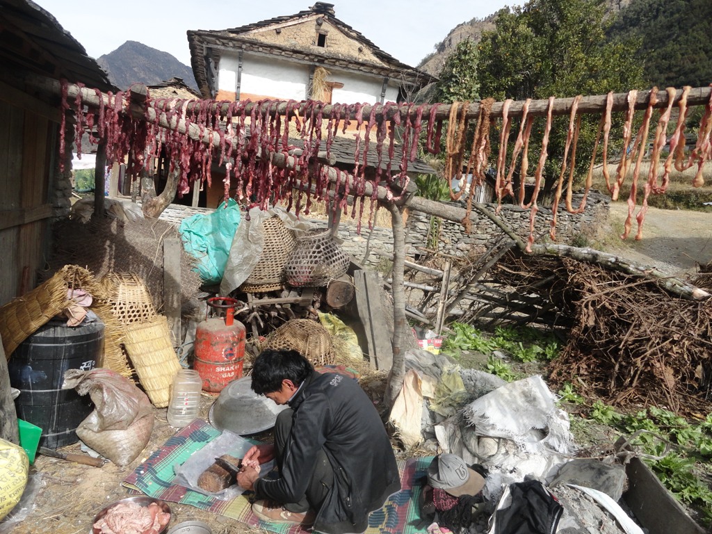 उत्तरी हावासँग सुकुटी साइनाे, प्रवासमा नोस्टाल्जिया बन्दै