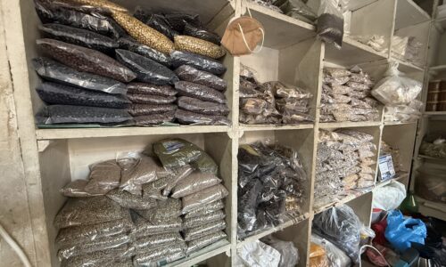 गाउँको कान्लादेखि समुद्रपारिको थालीसम्म: म्याग्दीका ‘कोसेली घर’ले जोड्दै गाउँको माटो र परदेशको स्वाद