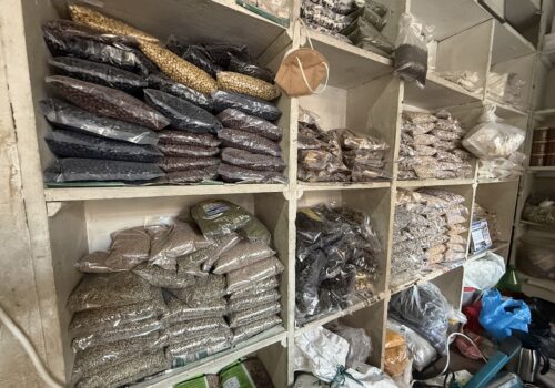 गाउँको कान्लादेखि समुद्रपारिको थालीसम्म: म्याग्दीका ‘कोसेली घर’ले जोड्दै गाउँको माटो र परदेशको स्वाद