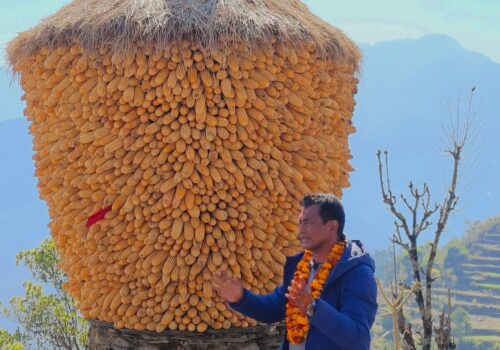 गाउँ पसेका उम्मेदवारहरू घरदैलो गरी मतदाता रिझाउँदै