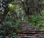 Foot trail, Treakking trail and road story, myagdi (1) डोजरले निलेका गोरेटोलाई पदमार्गको विकासे ट्याग