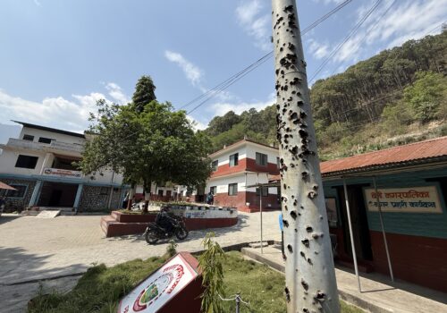 बेनीको त्यो छियाछिया पोल ः जहाँ बुलेटका घाउ र ब्यालेटको विद्रोह गुञ्जिन्छ