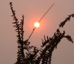 विदाई २०८२: रुपान्तरणको दबाबमा समाज र राजनीति